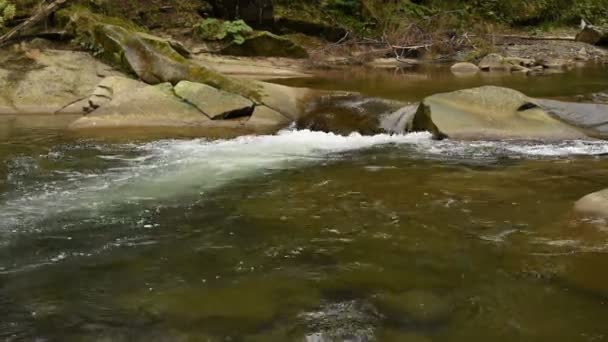 Montaña arroyo rápido — Vídeos de Stock