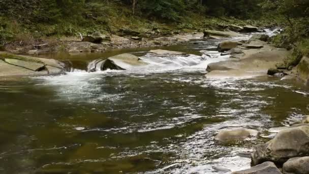 Montaña arroyo rápido — Vídeos de Stock