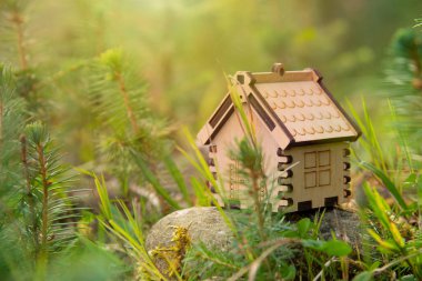 Ormandaki ahşap ev modeli Eko ev konsepti