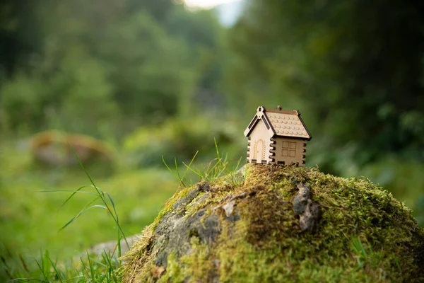 Wooden house model in a forest Eco house concept