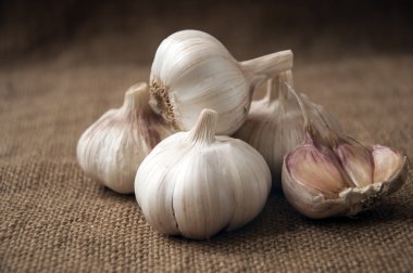 Sivas'tan sarımsak yakın çekim. çuval bezi arka plan