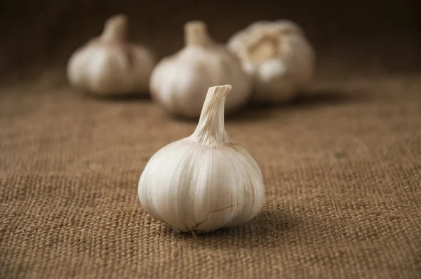 Close-up van de knoflook op plundering. jute-achtergrond — Stockfoto