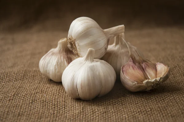 Close-up van de knoflook op plundering. jute-achtergrond — Stockfoto