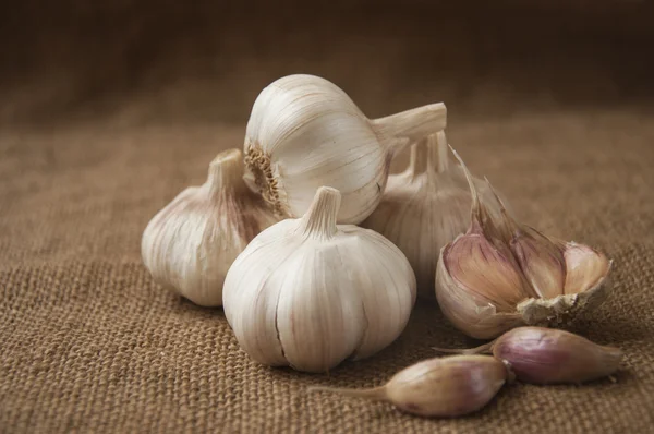 Close-up van de knoflook op plundering. jute-achtergrond — Stockfoto