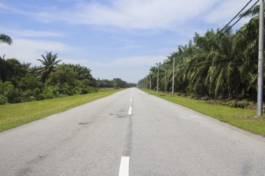 Kırsal karayolu otoyol hız sürücü yolculuk, boş özgürlük kırsal speedway rota hareket gezisi için için