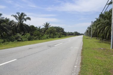 Kırsal karayolu otoyol hız sürücü yolculuk, boş özgürlük kırsal speedway rota hareket gezisi için için