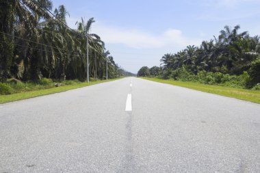 Kırsal karayolu otoyol hız sürücü yolculuk, boş özgürlük kırsal speedway rota hareket gezisi için için