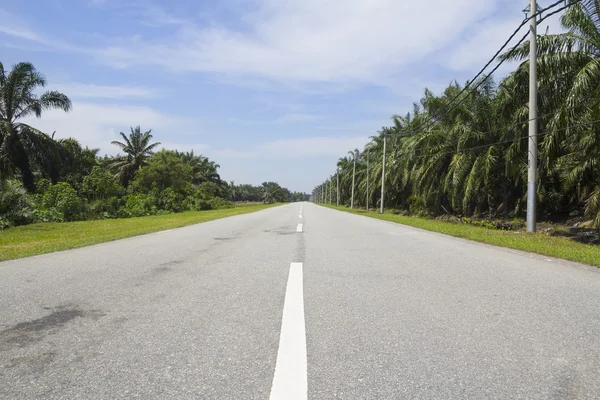 Rural road highway for speed drive journey, empty freedom countryside speedway route for motion trip — Stock Photo, Image