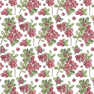 Vektör suluboya desen berry kızılcık
