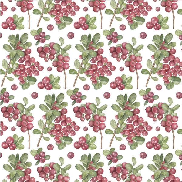 Vetor aquarela padrão berry cranberries —  Vetores de Stock