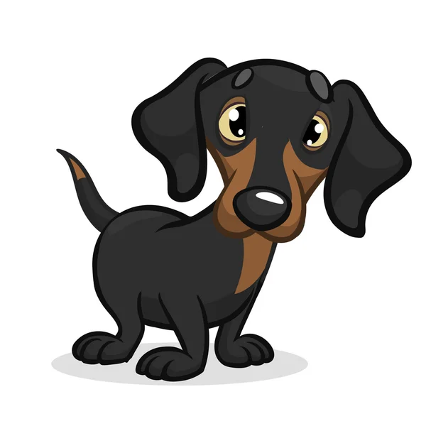 Desenhos animados Vector Ilustração do cão bonito de raça pura Dachshund. Isolado sobre fundo branco — Vetor de Stock