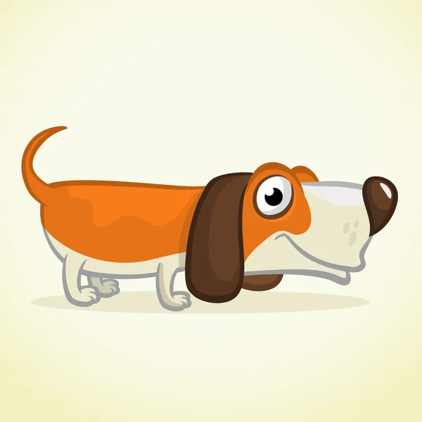 Niedlichen Basset Hund Cartoon. Vektor-Illustration isoliert auf weißem Hintergrund — Stockvektor