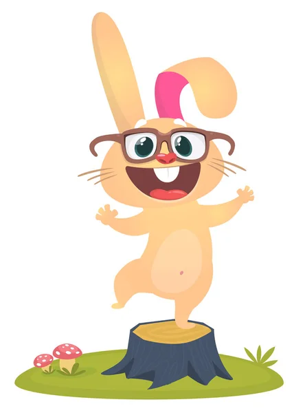 Cartoon Bunny Rabbit Character Vektorová Ilustrace Izolováno Bílém — Stockový vektor
