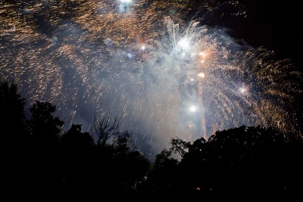 Πυροτεχνήματα τη νύχτα-νέο έτος Royalty Free Εικόνες Αρχείου