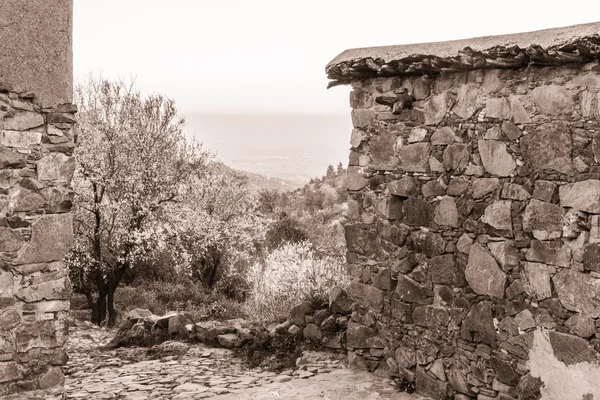 Fikardou scène de village avec des amandiers fleuris- sépia tonique — Photo