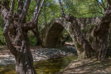 Tzelefos pitoresk Ortaçağ köprü Troodos, Kıbrıs