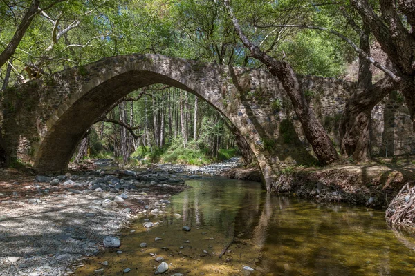 Tzelefos pittoreske middeleeuwse brug in Troodos, Cyprus — Stockfoto