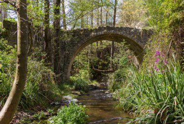 Tris Elies Troodos, Kıbrıs için Ortaçağ Bridge'de