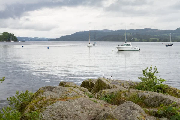 Uitzicht vanaf de oever van het meer van de Ambleside van boten en zee-meeuwen — Stockfoto