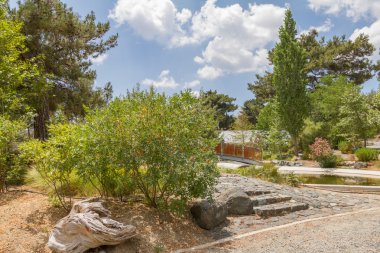 Troodos botanik bahçeleri gölet yakınındaki