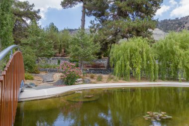 Köprü ve su birikintisi Troodos botanik bahçeleri