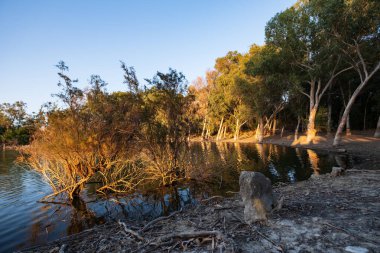 Kıbrıs 'taki Athalassa Gölü' nde güzel ışıklı su ve ağaçlar güneşli güzel bir öğleden sonra