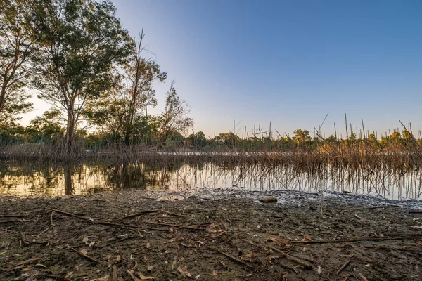 Jezioro Athalassa Cyprze Trzciną Odgałęzieniem Odbicia Wody Piękne Słoneczne Popołudnie — Zdjęcie stockowe