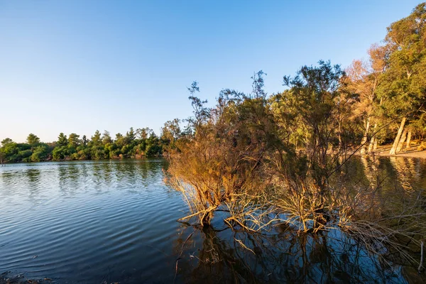 Lago Athalassa Chipre Com Água Muito Bem Iluminada Árvores Uma — Fotografia de Stock