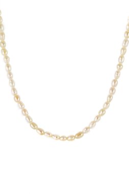 Beyaz arka planda zarif inci kolye. Güzel kadınların mücevherleri.