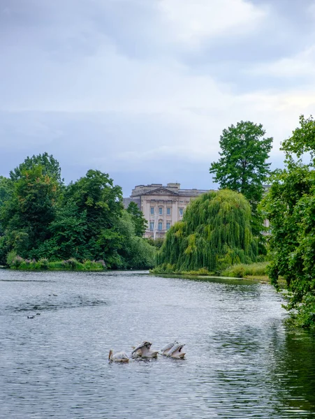 Vue Romantique Sur James Park Londres Par Après Midi Nuageux — Photo