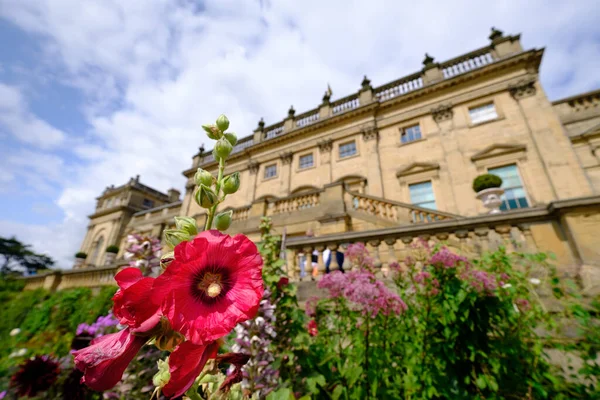 Flowers Gardens Harewood House Harrogate Stately Home Visible Background West — Stock Photo, Image