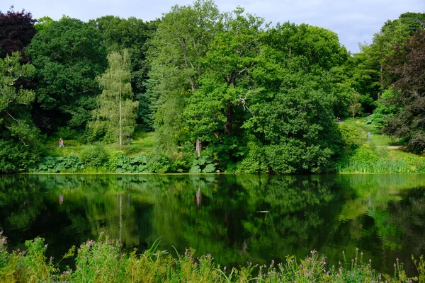 英国西约克郡Harewood House Trust地区由树叶和鱼塘组成的美丽风景 — 图库照片