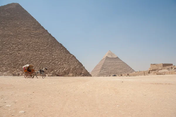 Carro de arrastre de caballos frente a las pirámides de Giza — Foto de Stock