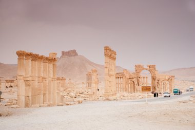 Palmyra, Suriye Çölü Antik şehir kalıntıları