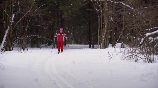 Büyükanne kayaklı koşu Alone in Doğa — Stok video