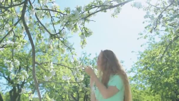 Fille aux longs cheveux roux dans le jardin de pommes — Video