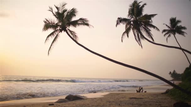 Puesta de sol tropical en una playa en Sri Lanka — Vídeo de stock