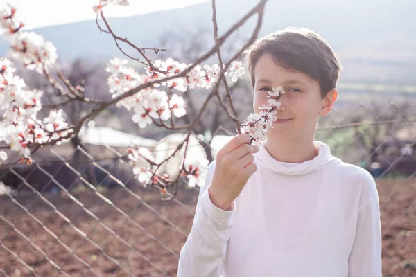 Мальчик, нюхающий цветы на цветущем дереве — стоковое фото