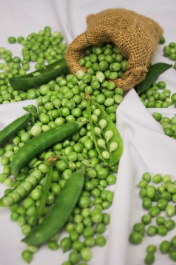 Jüt Kumaş taze çiğ yeşil fasulye