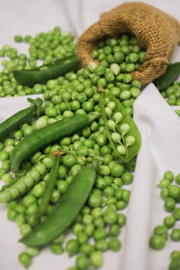 Jüt Kumaş taze çiğ yeşil fasulye