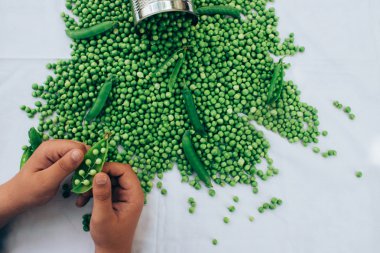 Yeşil fasulye Holding eller 