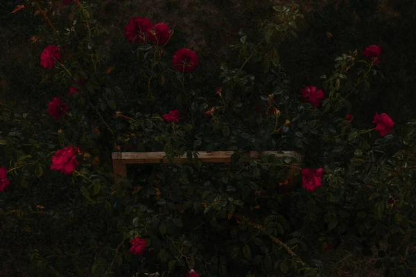 Ormandaki güzel kırmızı çiçeğin dikey görüntüsü.