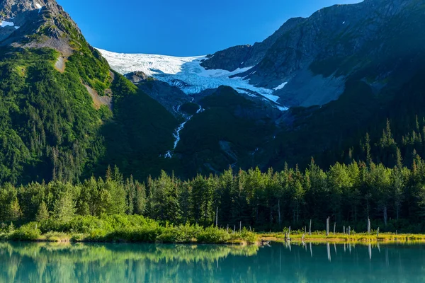 Explorer-Gletscher-Ansicht — Stockfoto