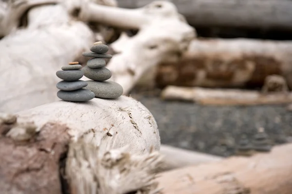 Naplavené dříví a Cairns — Stock fotografie