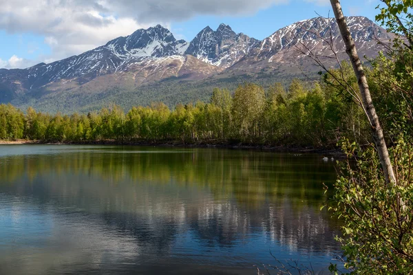 Reflektioner av våren — Stockfoto