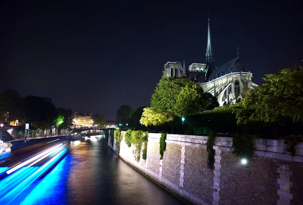 Notre Dame à noite — Fotografia de Stock