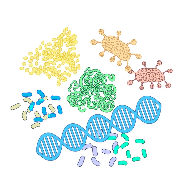 Structure of protein molecules — Stock Vector