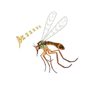 The mosquito flies suck blood. clipart