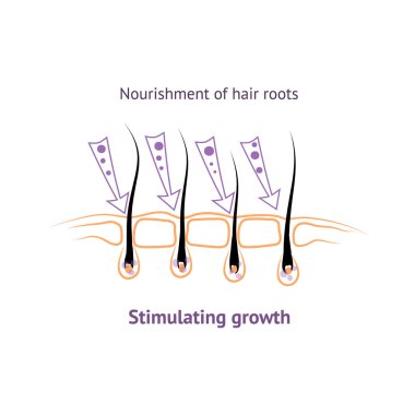 hair healthy growth and nutrition. clipart