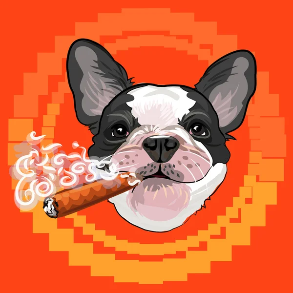 Niedlicher Hundekopf mit einer kubanischen Zigarre — Stockvektor